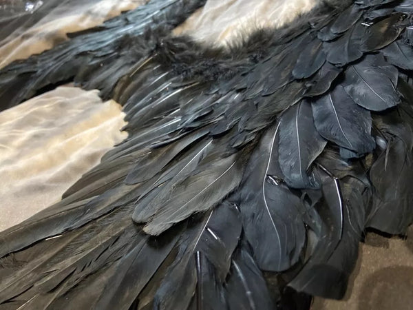 All Blakc Feather Wings.
